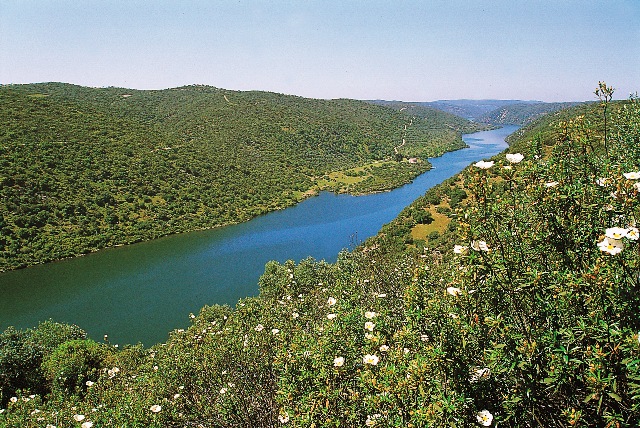 Reserva Internacional Do Tejo
